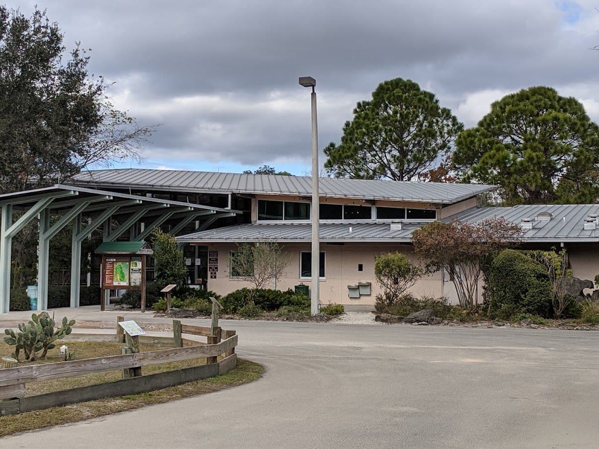 Enchanted Forest Sanctuary