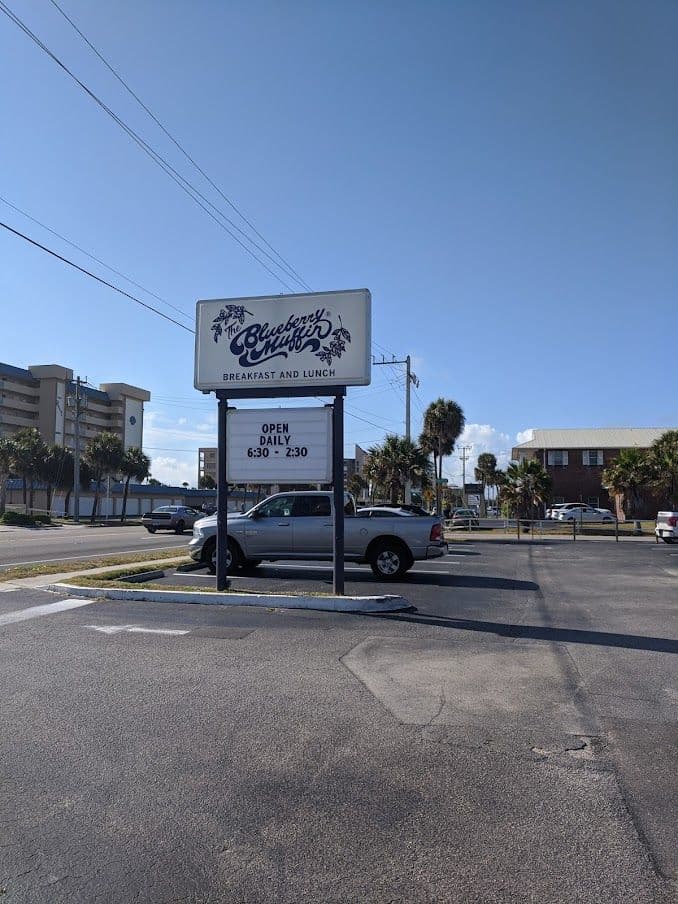 The Blueberry Muffin